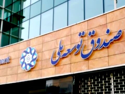 شروط اعطای تسهیلات ارزی و ریالی صندوق توسعه ملی چیست؟/ بانک‌های بدهکار تسهیلات نمی‌گیرند